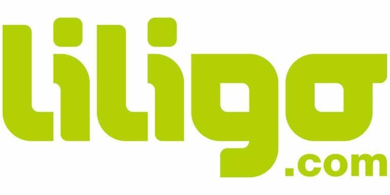 Liligo voyage logo