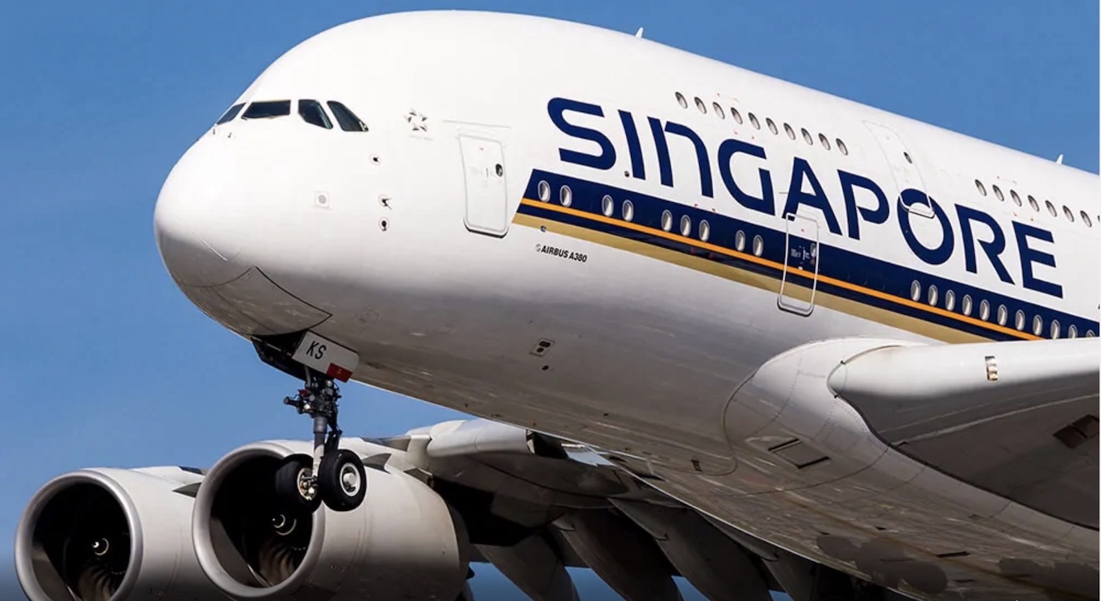 travel assistance with singapore airlines