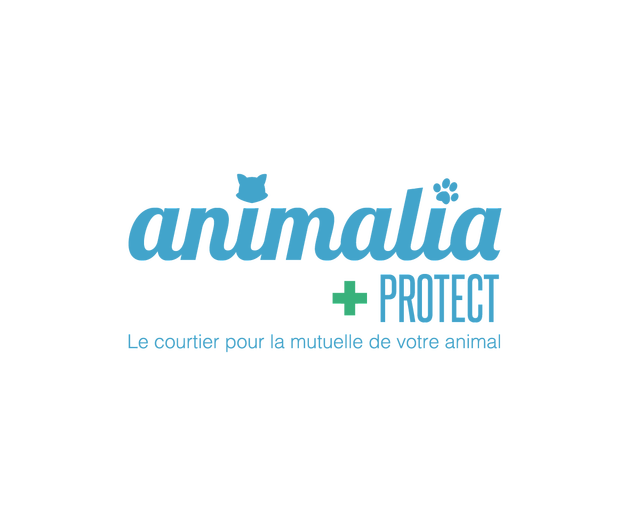 comment-contacter-Animalia-Protect