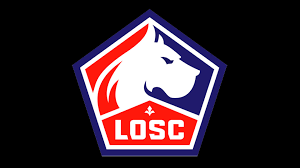Entrer en relation avec LOSC Lille