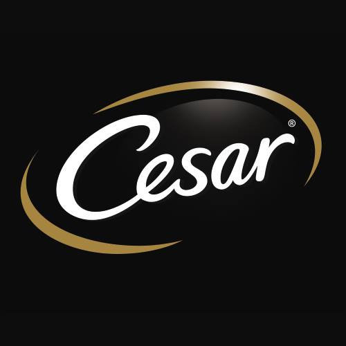 Entrer en relation avec le service consommateur de Cesar